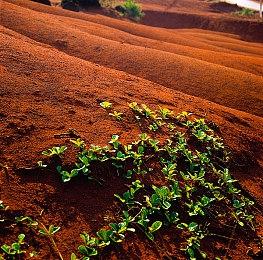 科幻RTS＆FPS《Silica》新视频展示竞技场模式